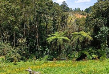 Lote de Terreno en  Carrera 42 42 41, Medellín, Antioquia, Col