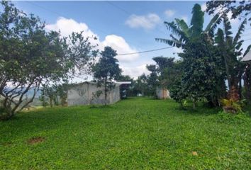 Hacienda-Quinta en  Gualea, Ecuador