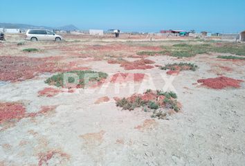 Lote de Terreno en  Maneadero, Ensenada