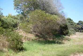 Terrenos en  Paseo Ciento Cincuenta 201-449, Villa Gesell, B7165, Provincia De Buenos Aires, Arg