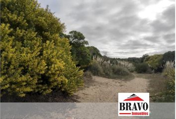 Terrenos en  Calle Las Toninas, Villa Gesell, Provincia De Buenos Aires, Arg