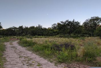 Terrenos en  San Alberto, Córdoba, Arg