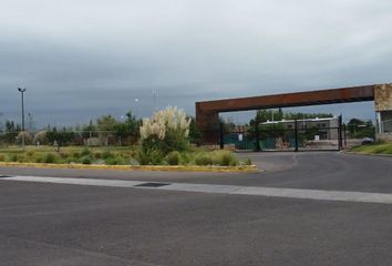 Terrenos en  Calle Tropero Sosa 1516-1750, Maipú, M5588, Mendoza, Arg