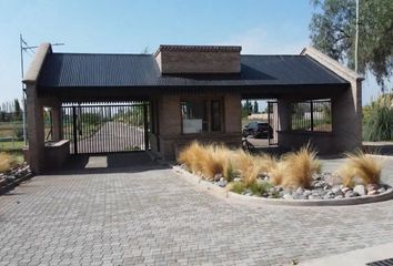 Terrenos en  Calle Olavarría, Luján De Cuyo, Cuyo, Mendoza, Arg