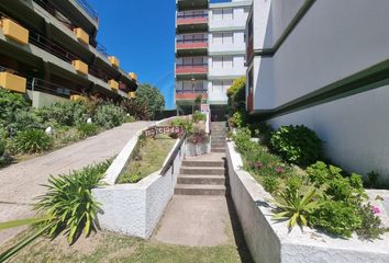 Departamento en  Paseo Ciento Cuarenta Y Seis 227, Villa Gesell, Provincia De Buenos Aires, Arg