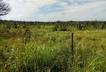 Terrenos en  Camino T151-9, Ambul, San Alberto, Córdoba, Arg