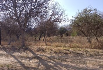 Terrenos en  San Alberto, Córdoba, Arg