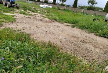 Terreno en  Sant Pere Pescador, Girona Provincia