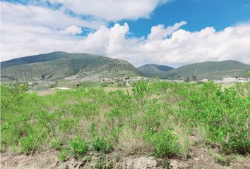 Terreno Comercial en  San Antonio, Quito