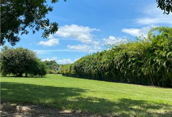 Lotes y Terrenos en  Juan Hombrón, Antón