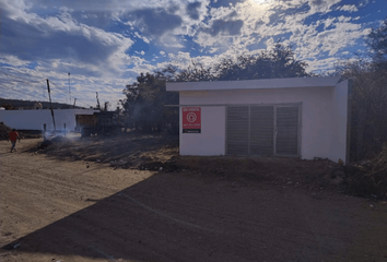 Casa en  Calle Azucena, Las Amapas, Culiacán Rosales, Culiacán, Sinaloa, 80019, Mex