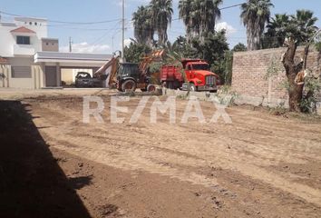 Lote de Terreno en  Centro, Guasave