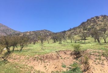 Parcela en  Colina, Chacabuco