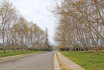 Parcela en  Colina, Chacabuco