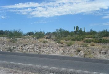 Lote de Terreno en  Carretera La Paz - Ensenada De Muertos, El Cardonal, La Paz, Baja California Sur, Mex