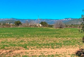 Terreno en  Riudoms, Tarragona Provincia