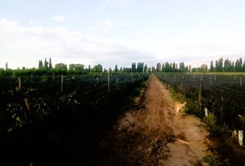 Casa en  San Carlos, Mendoza