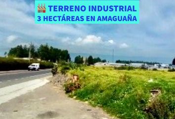 Terreno Comercial en  Tambillo, Mejia