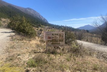 Lote de Terreno en  Carretera A Potrero De Abrego, Arteaga, Coahuila De Zaragoza, Mex