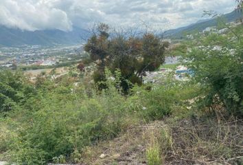 Lote de Terreno en  Palmares 1er Sector, Monterrey