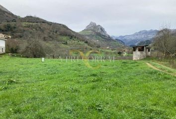 Terreno en  Panes, Asturias