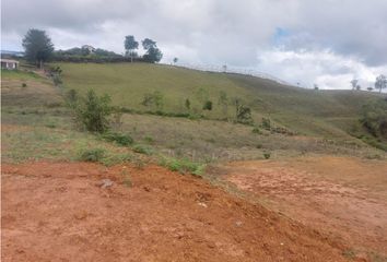 Lote de Terreno en  San Vicente, Antioquia