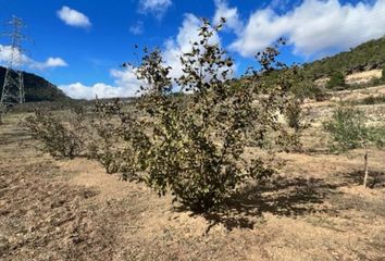 Terreno en  Cabra Del Camp, Tarragona Provincia