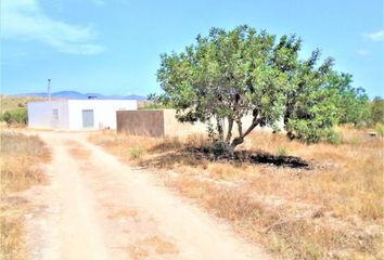 Chalet en  Aguamarga, Almería Provincia