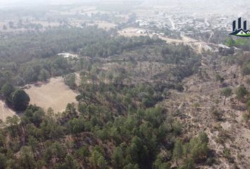 Lote de Terreno en  Calle Miguel Lerdo De Tejada 7, Vicente Guerrero, Perote, Veracruz De Ignacio De La Llave, 91270, Mex