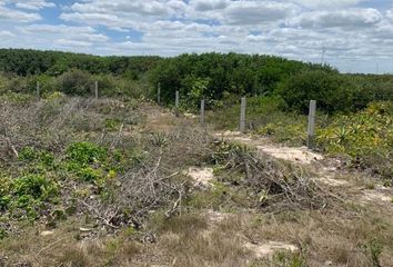 Lote de Terreno en  Pueblo Dzemul, Dzemul