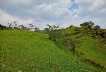 Lote de Terreno en  El Peñol, Antioquia