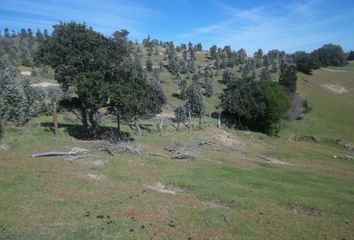 Parcela en  Navidad, Cardenal Caro