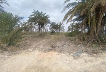 Terreno en  El Tamarit, Alicante Provincia