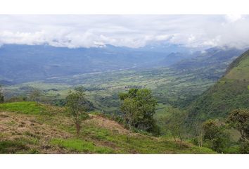 Lote de Terreno en  Fredonia, Antioquia