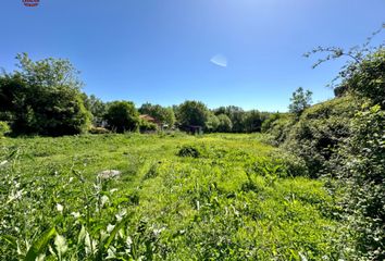 Chalet en  Los Molinos, Madrid Provincia