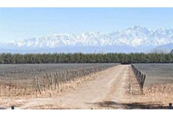 Quinta/Finca en  Luján De Cuyo, Mendoza