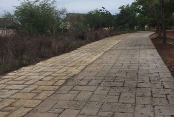 Lote de Terreno en  Avenida Juárez, Santa Maria Colotepec, Santa María Colotepec, Oaxaca, 70937, Mex