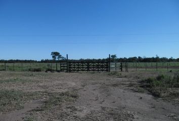Terrenos en  Pampa Del Indio, Chaco