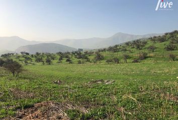 Parcela en  Colina, Chacabuco