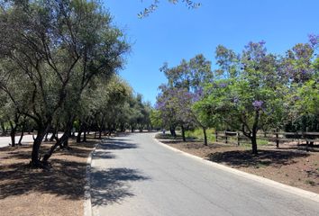 Parcela en  Colina, Chacabuco