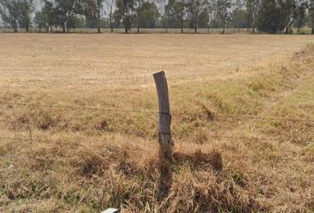 Lote de Terreno en  Carretera Cuautitlán-zumpango, Buenavista, Zumpango, México, 55606, Mex