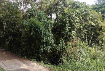 Lote de Terreno en  Maraya, Pereira