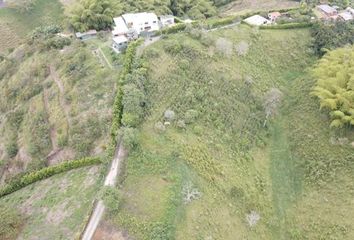 Lote de Terreno en  Centro, Pereira