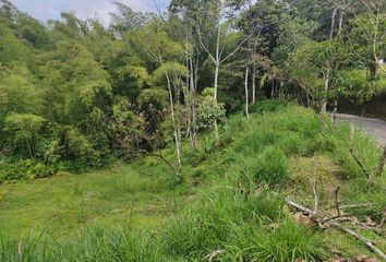 Lote de Terreno en  Los Alamos, Pereira