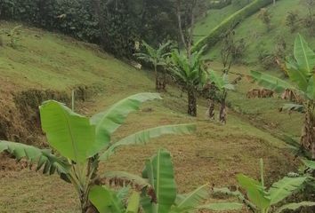 Lote de Terreno en  Olaya Herrera, Pereira