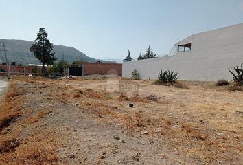 Lote de Terreno en  Santa Cruz De Arriba, Texcoco