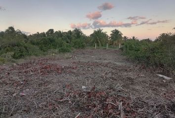 Lote de Terreno en  Chicxulub Puerto, Progreso, Z - Progreso, Yucatán