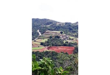 Lotes y Terrenos en  El Copecito, San Carlos