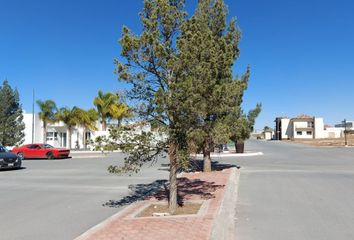 Lote de Terreno en  San Isidro De Las Palomas, Arteaga, Coahuila