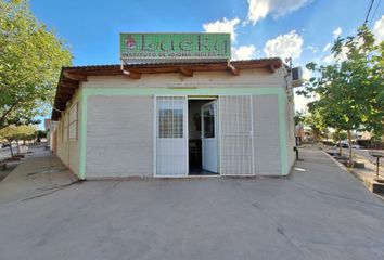 Locales en  Rincón De Los Sauces, Neuquen